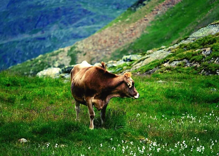 ... Mein Romantisches Toalstock 4*